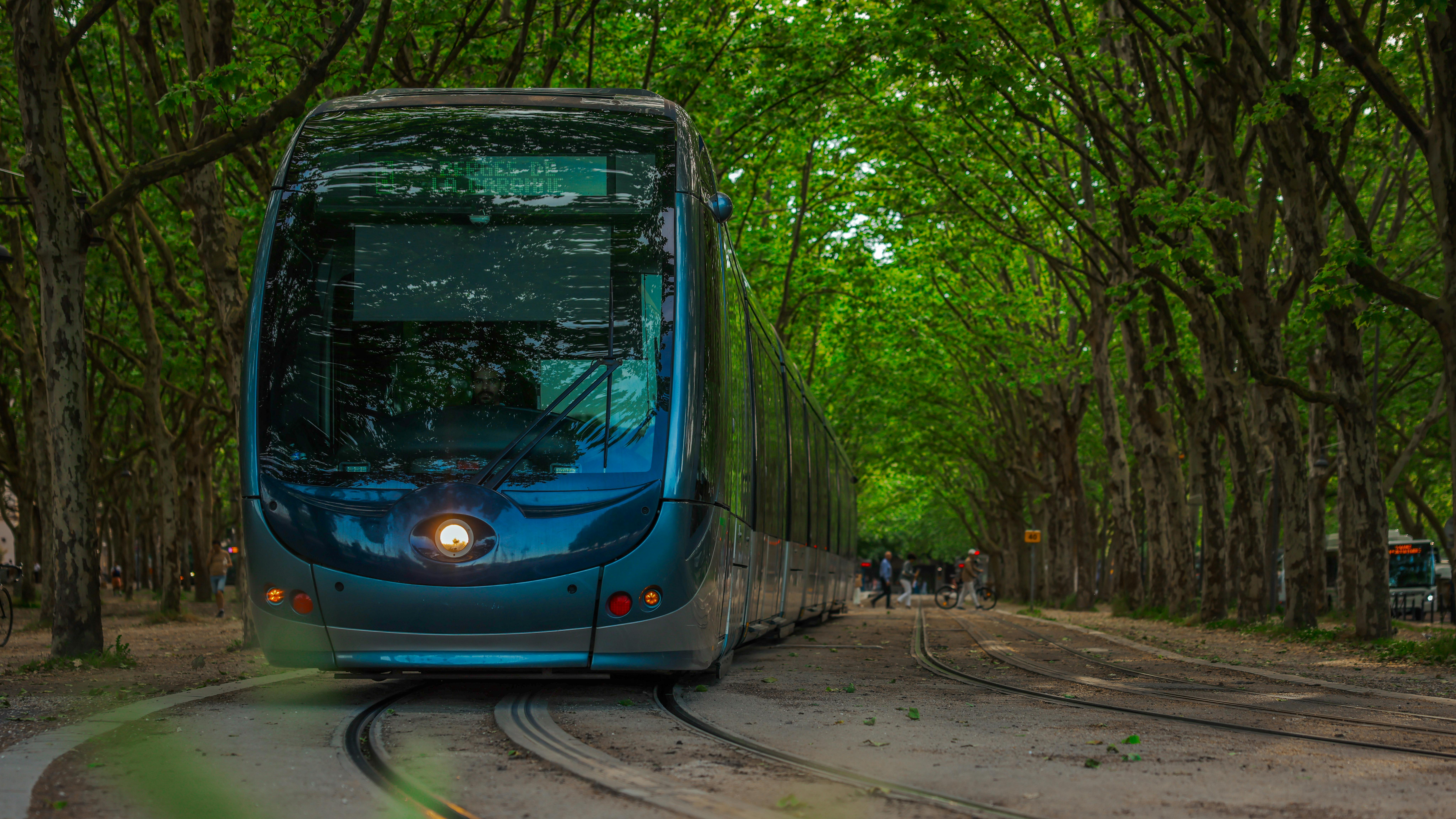 Nos solutions pexels photo 30732721 30732721